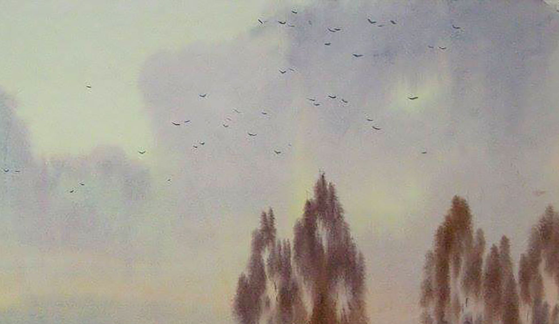 countryside Landscape 