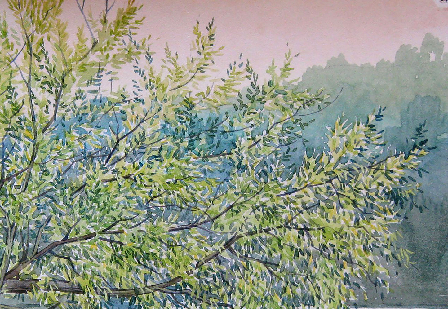 River Nature Landscape 