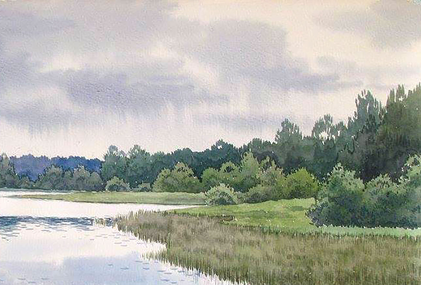 Forest Nature Landscape 