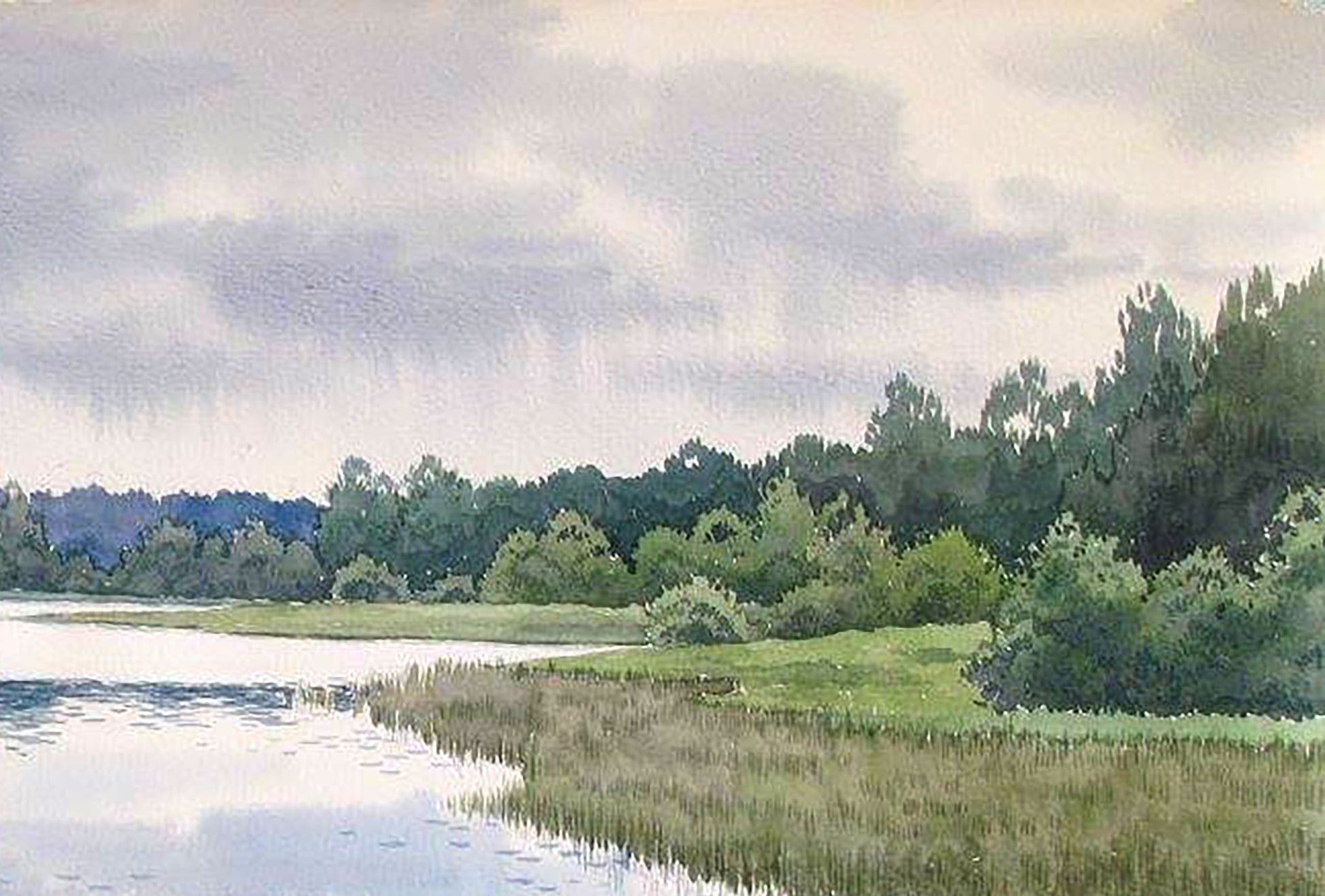 Forest Nature Landscape 