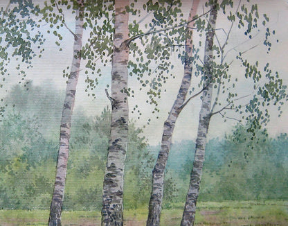 Forest Nature Landscape 