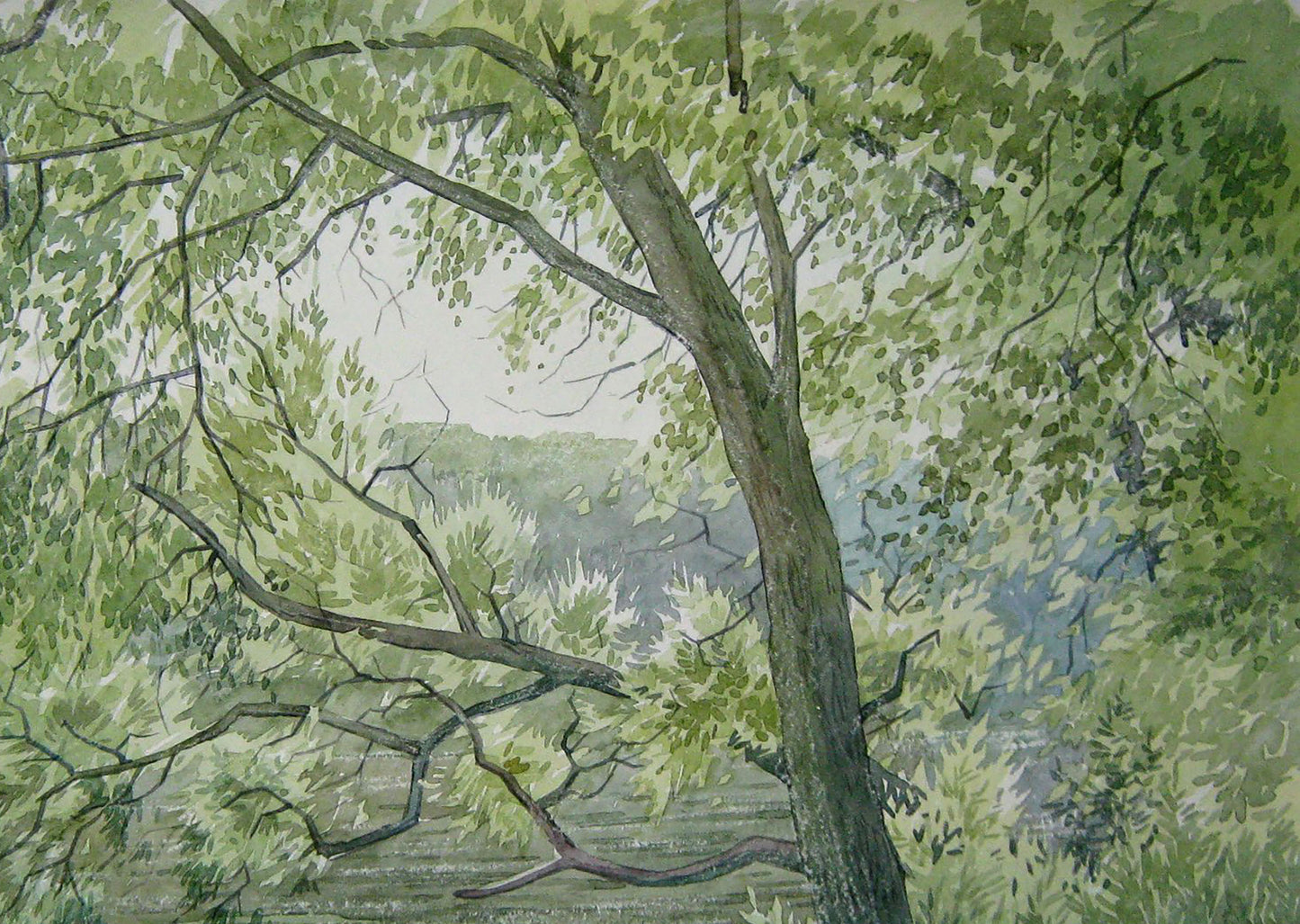 Watercolor painting River Nature Landscape 