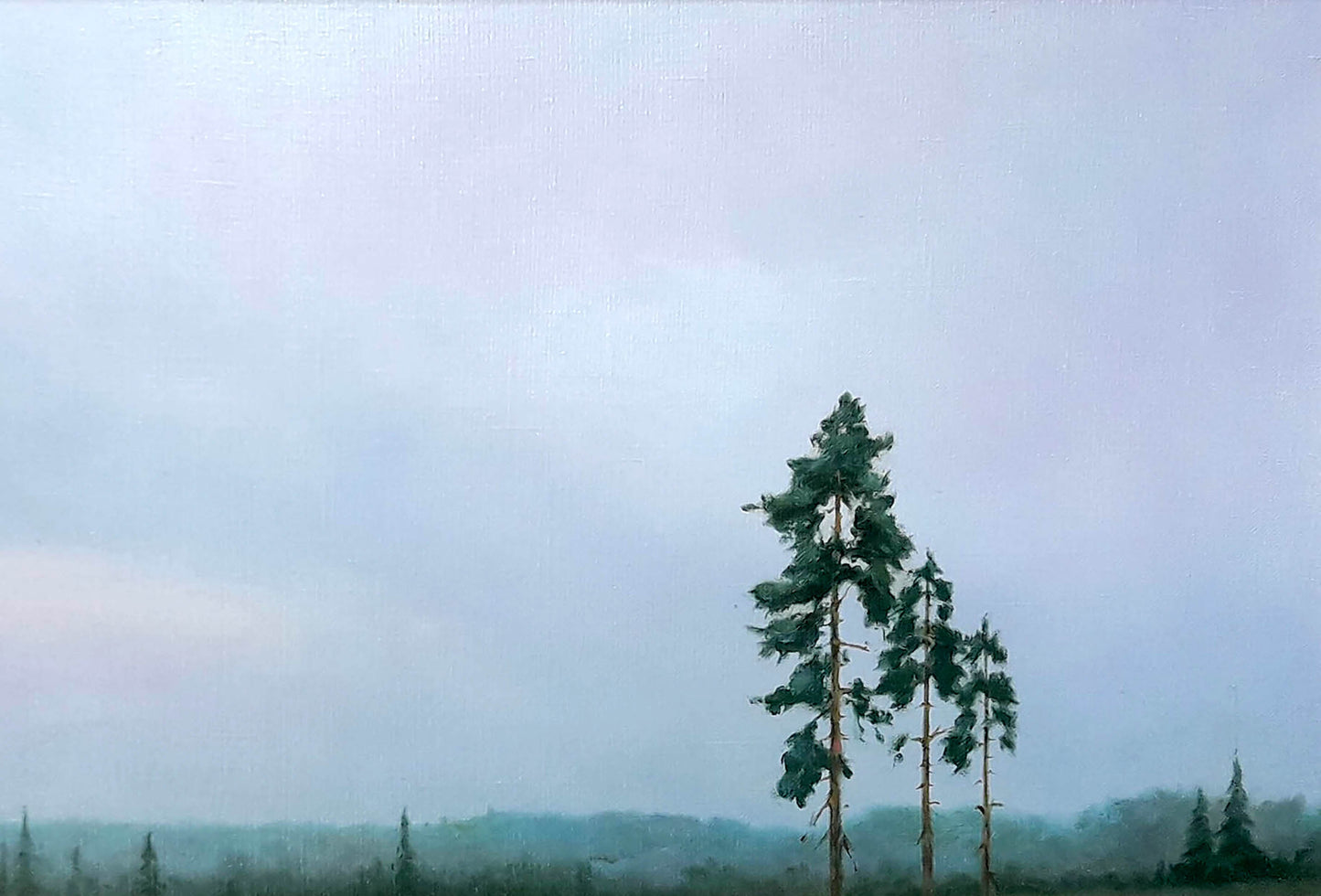 Oil painting Morning by Korkishko Vasily: tall pine tree under overcast sky