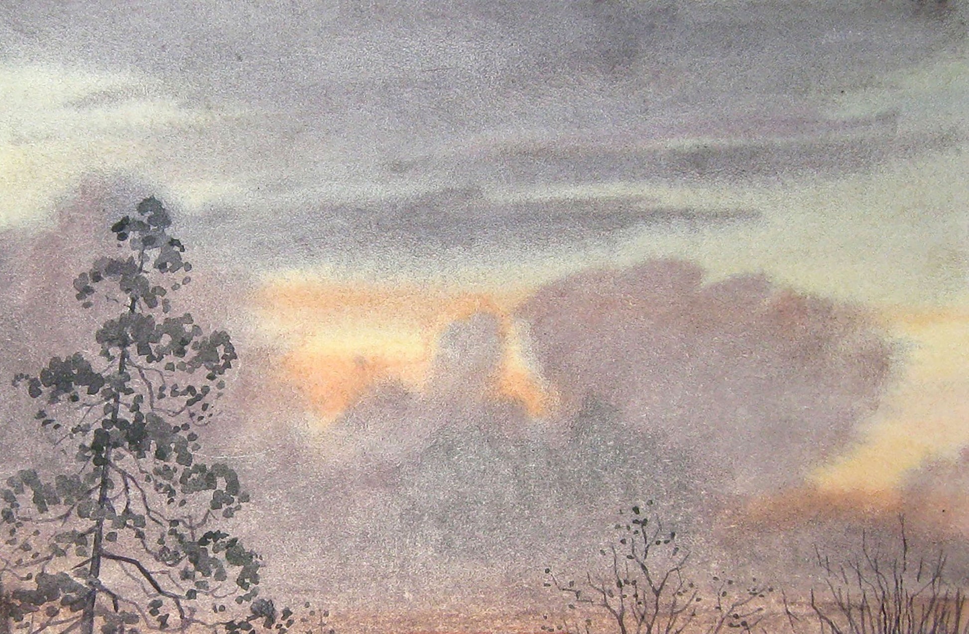 Forest Nature Landscape 