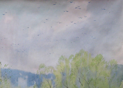 Spring Nature Landscape 