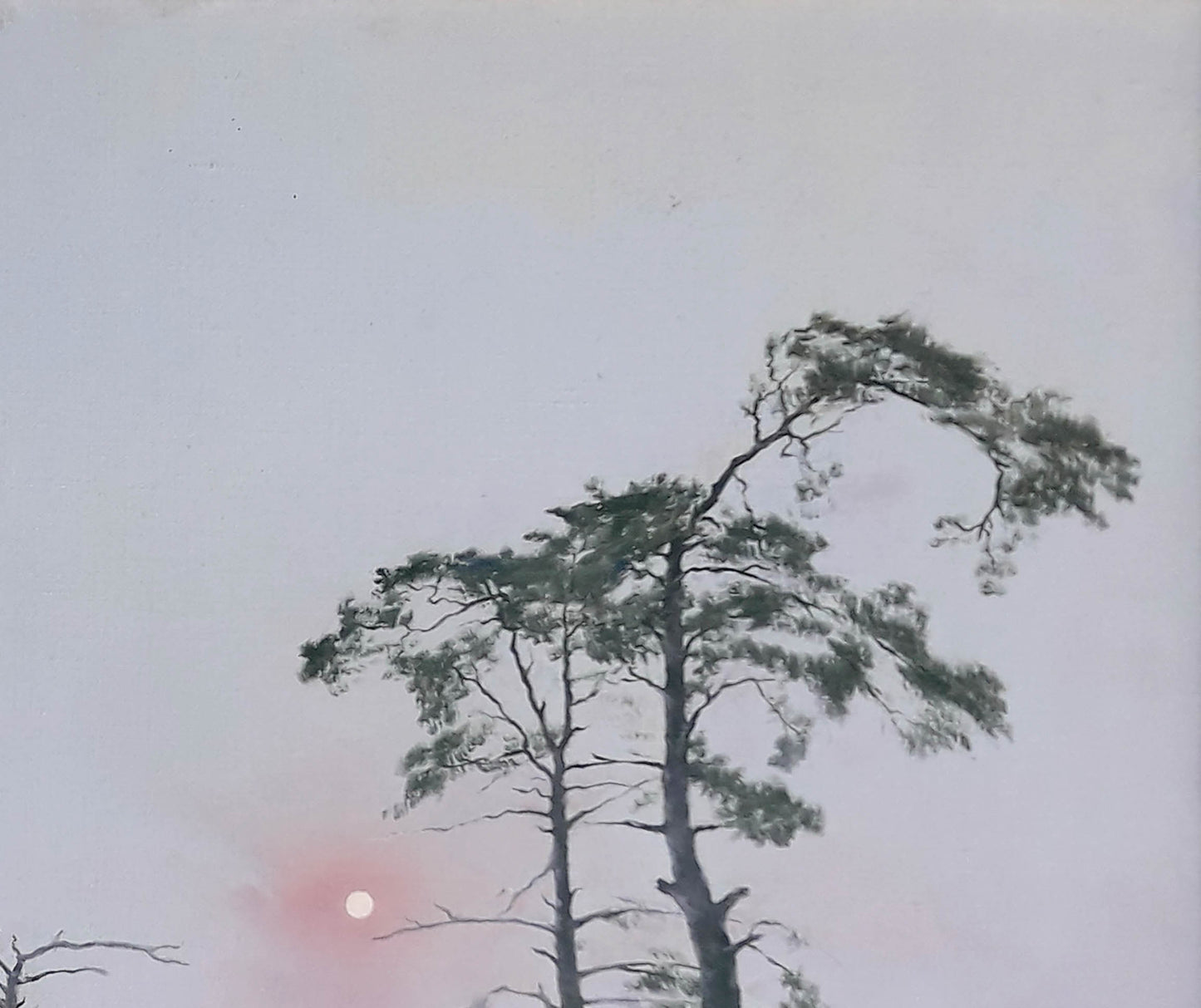 Oil painting Daylight Korkishko Vasily: tall pine tree under overcast sky