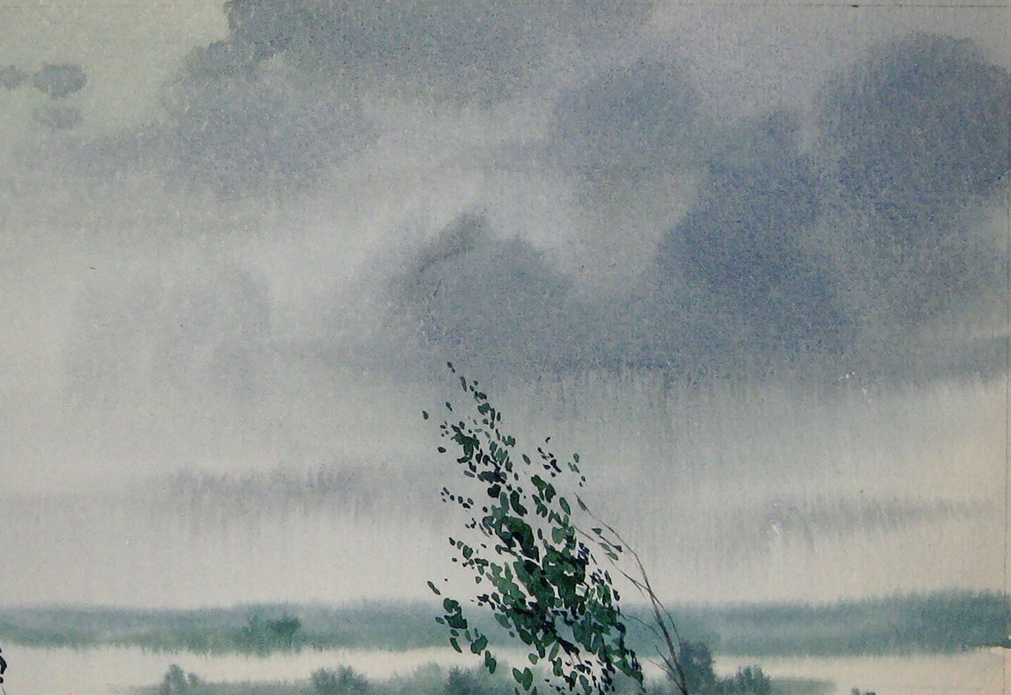 Summer Nature Landscape 