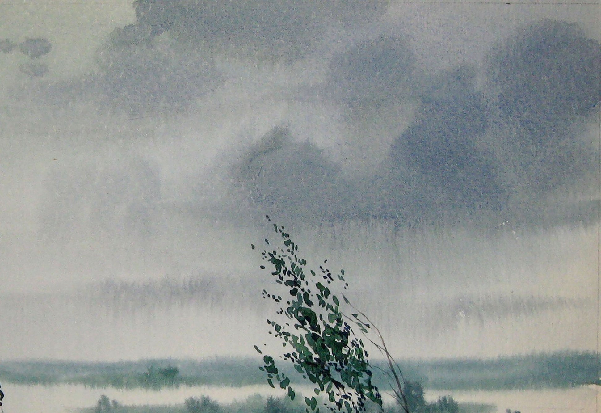 Summer Nature Landscape 
