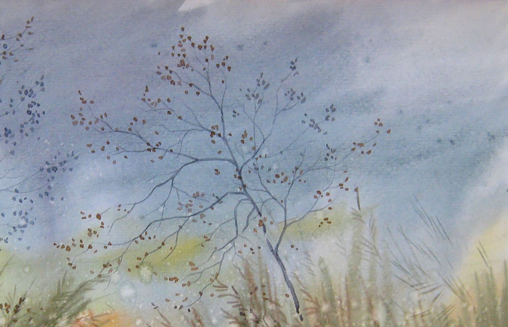 Autumn Nature Landscape 