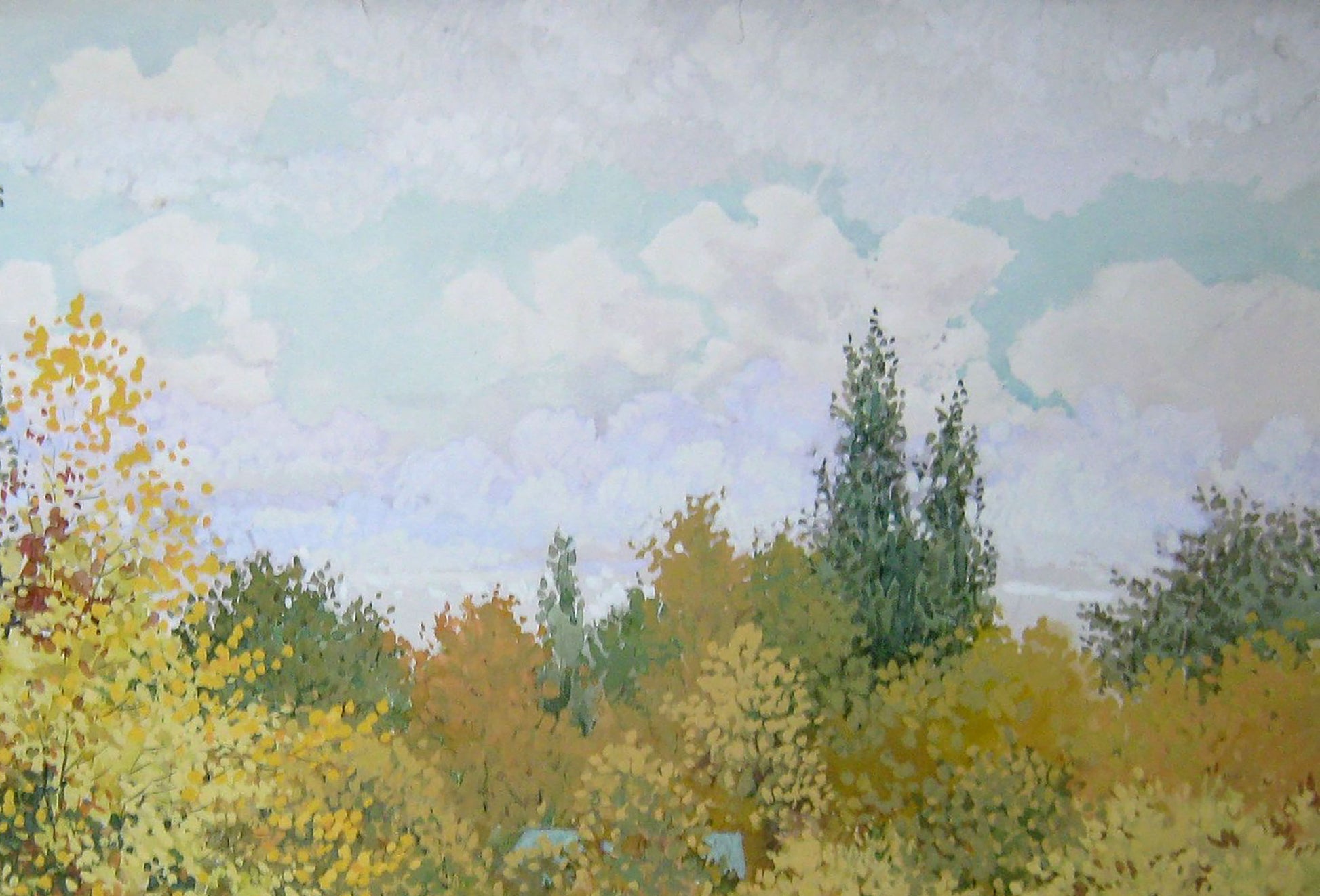 Autumn Nature Landscape 