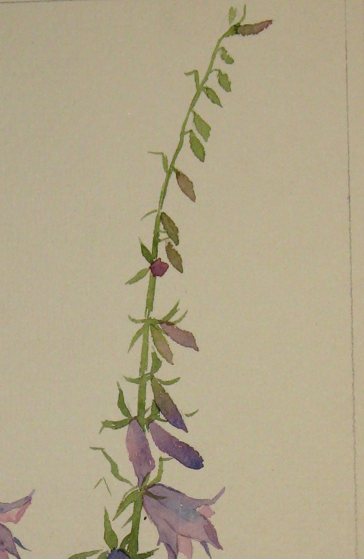 Painting with Flowers