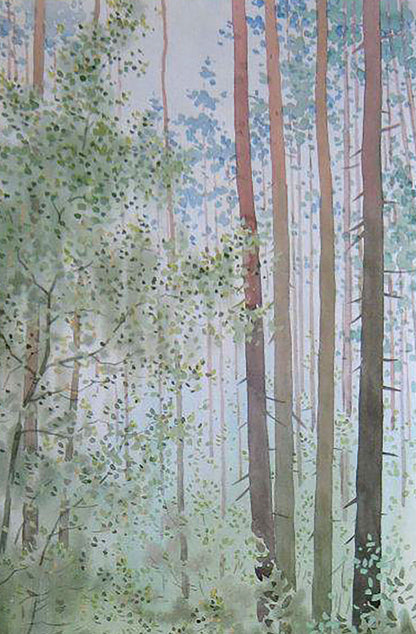 Spring Nature Landscape 