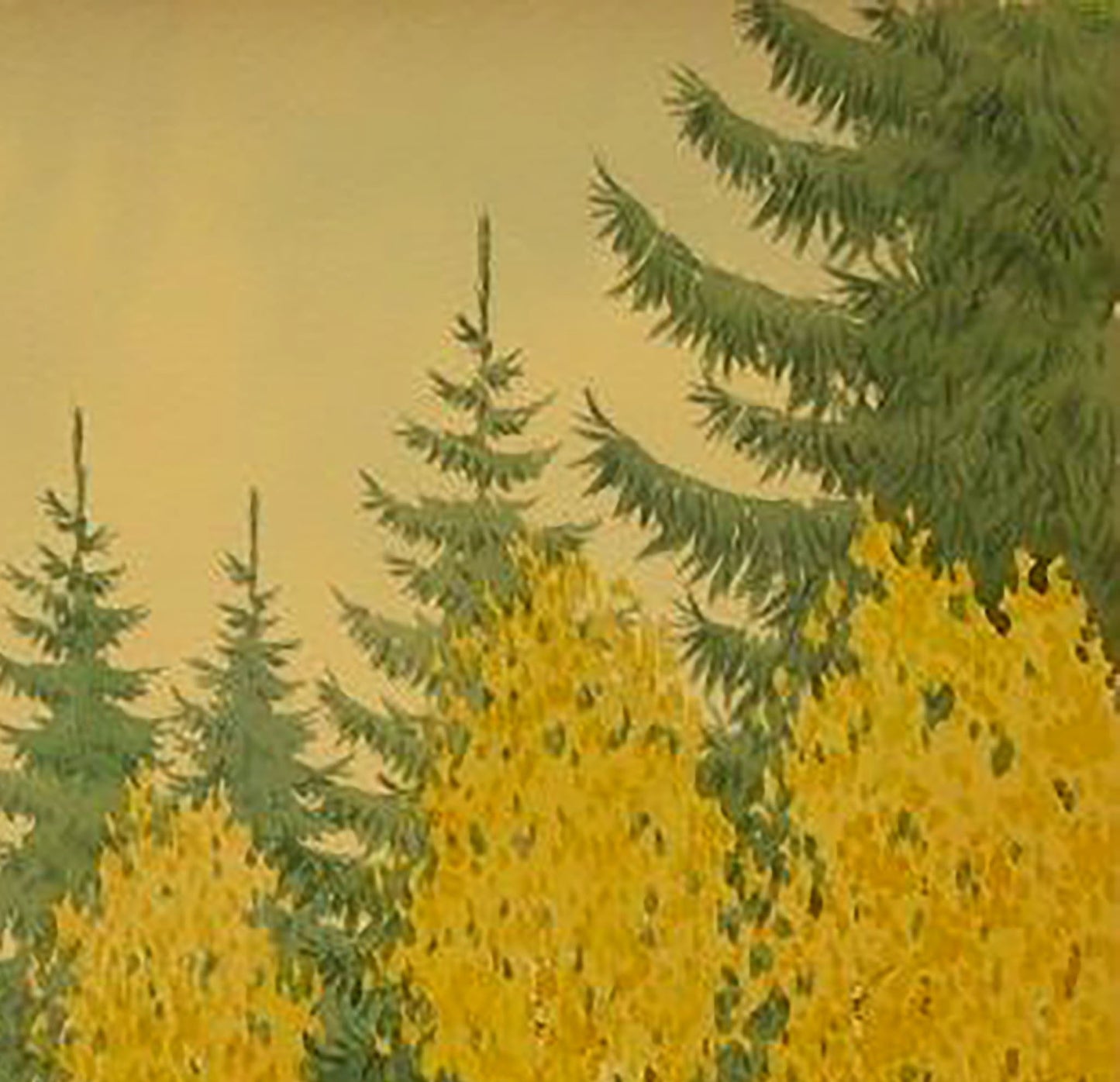Forest Nature Landscape 