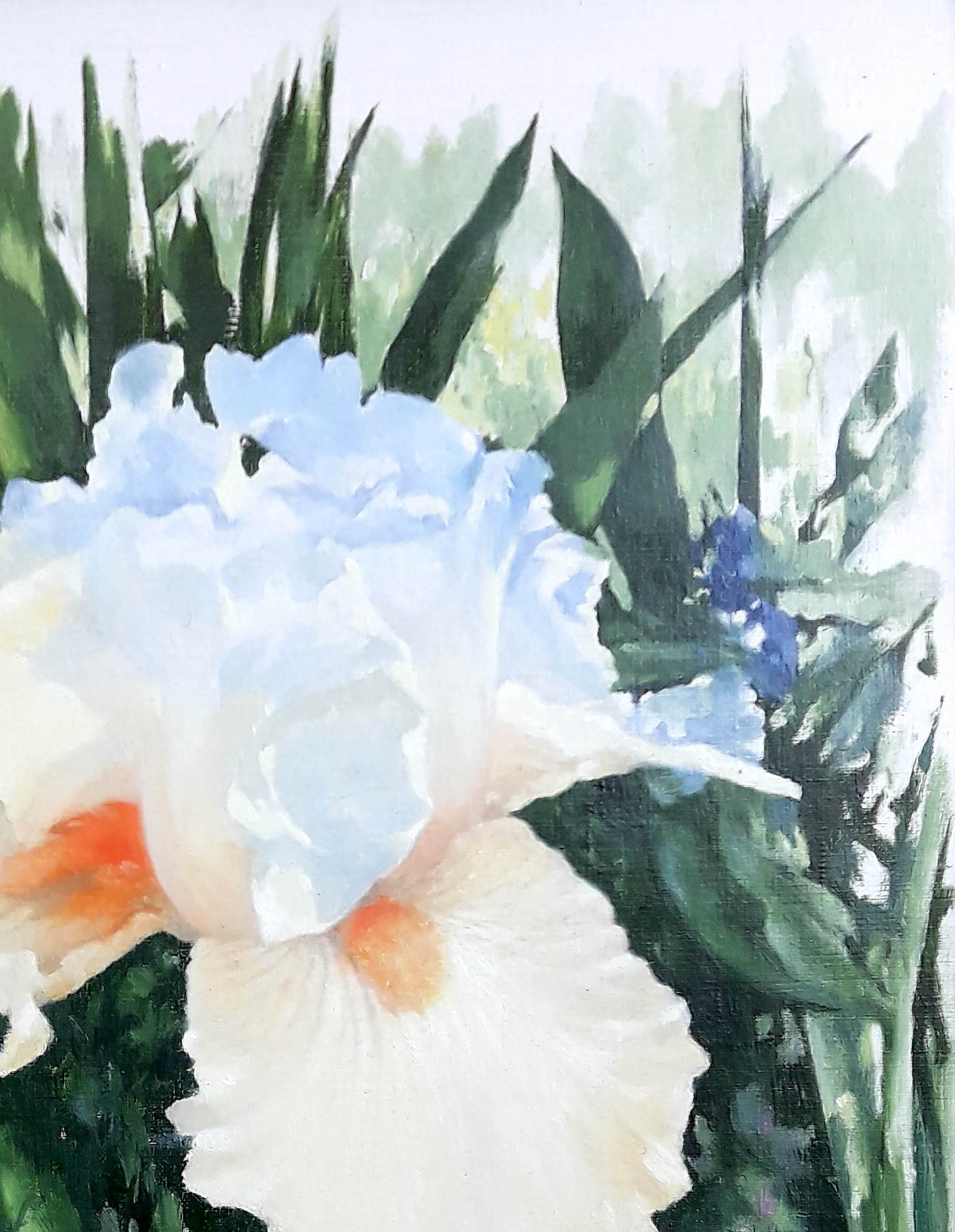 Oil painting of delicate white blue iris by Korkishko Vasily