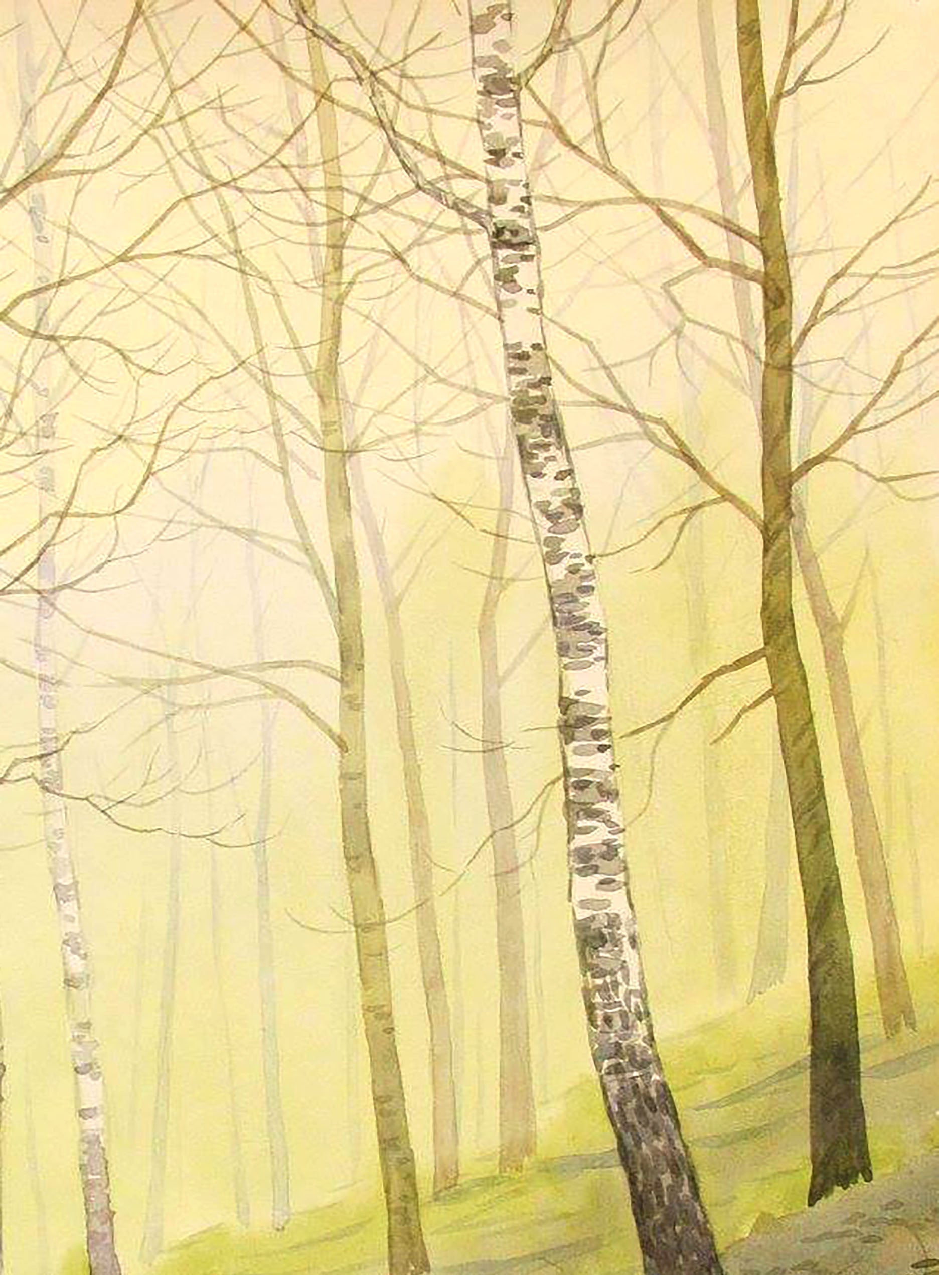 Spring Nature Landscape 