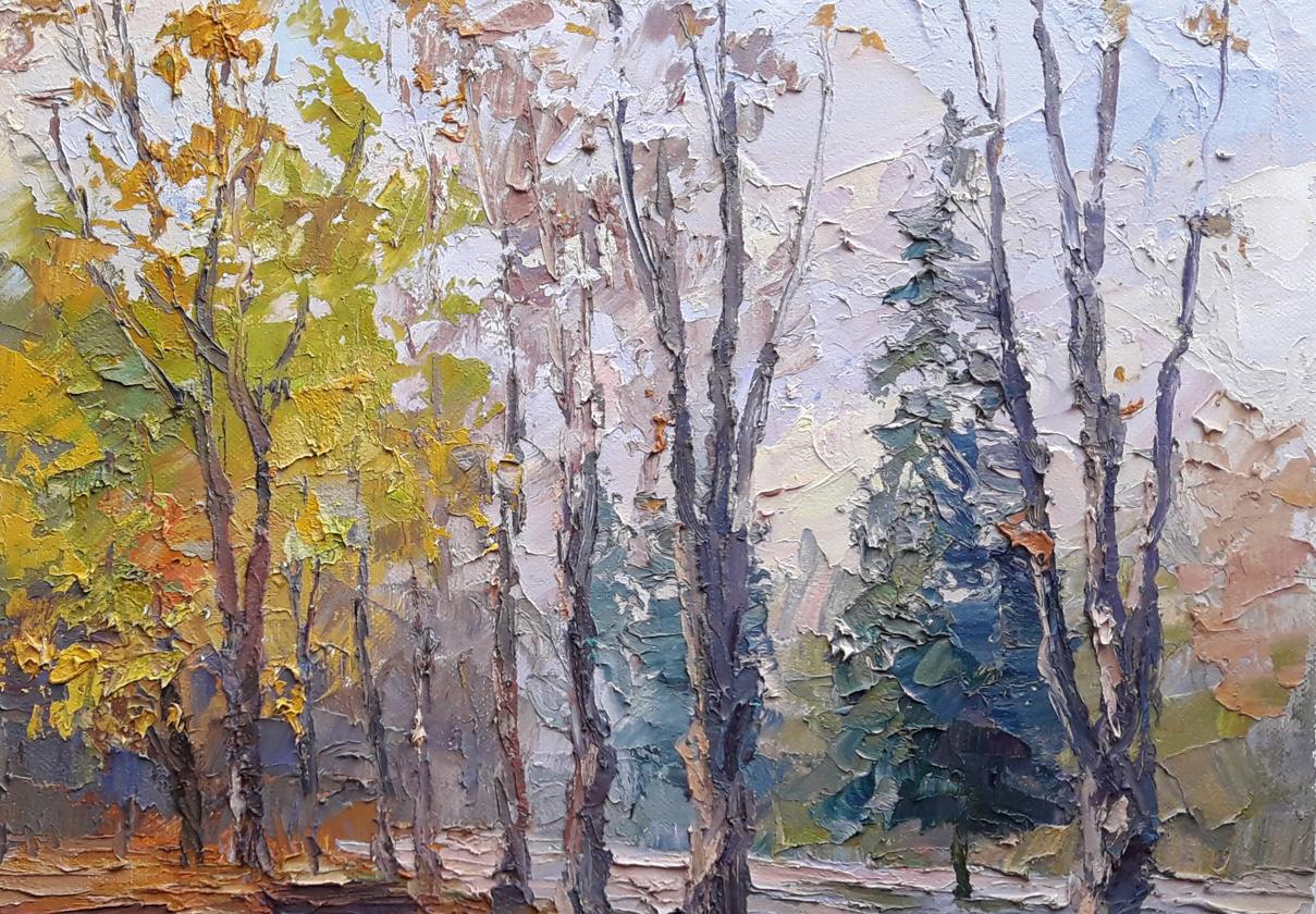 Nature Landscape 