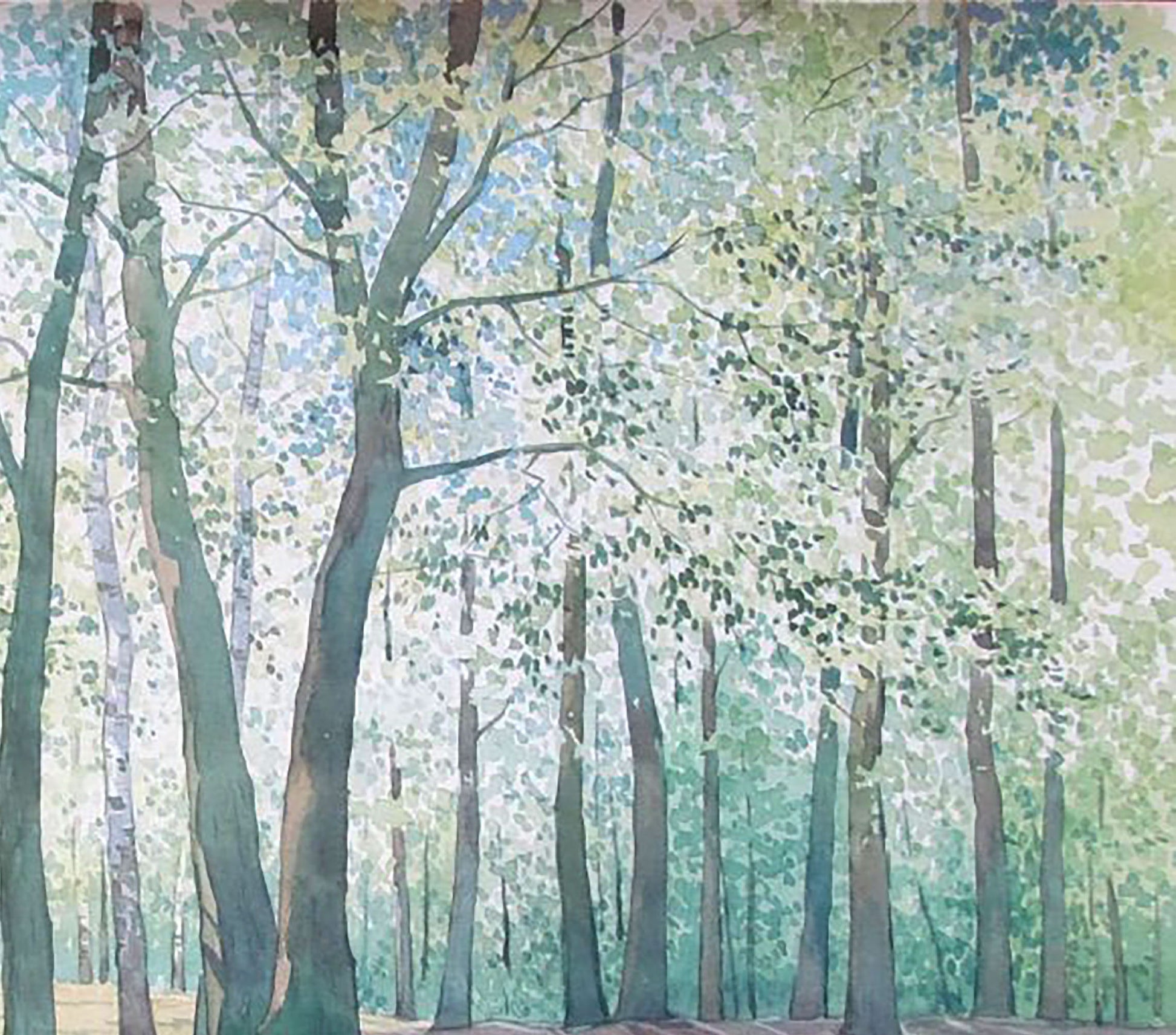 Spring Nature Landscape 