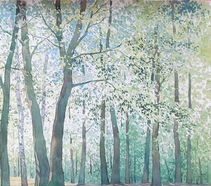 Spring Nature Landscape 