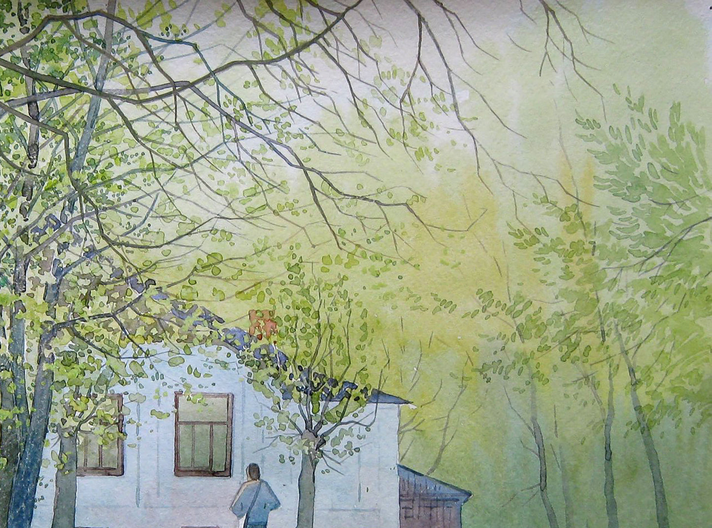Nature Cityscapes 