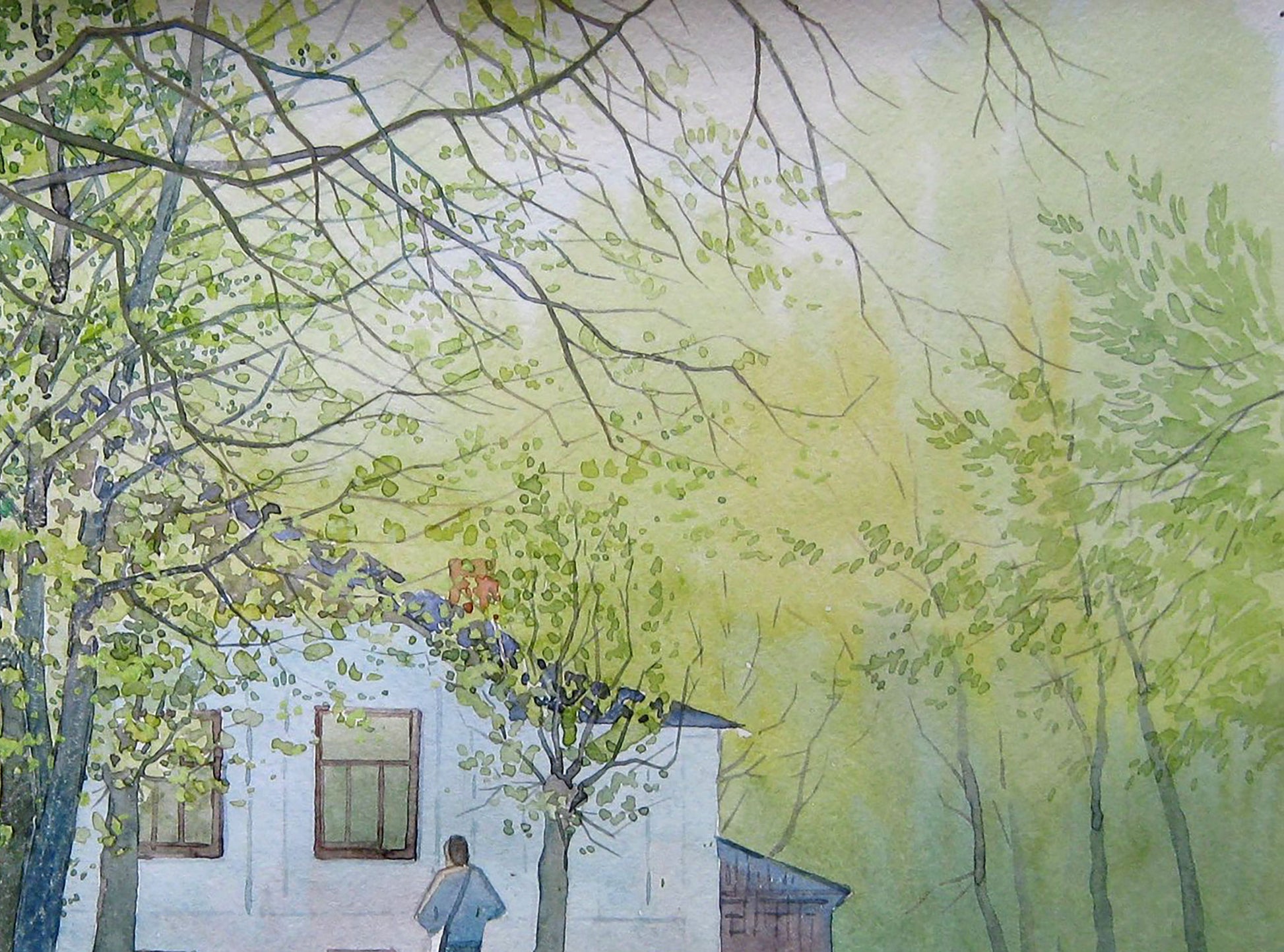 Nature Cityscapes 