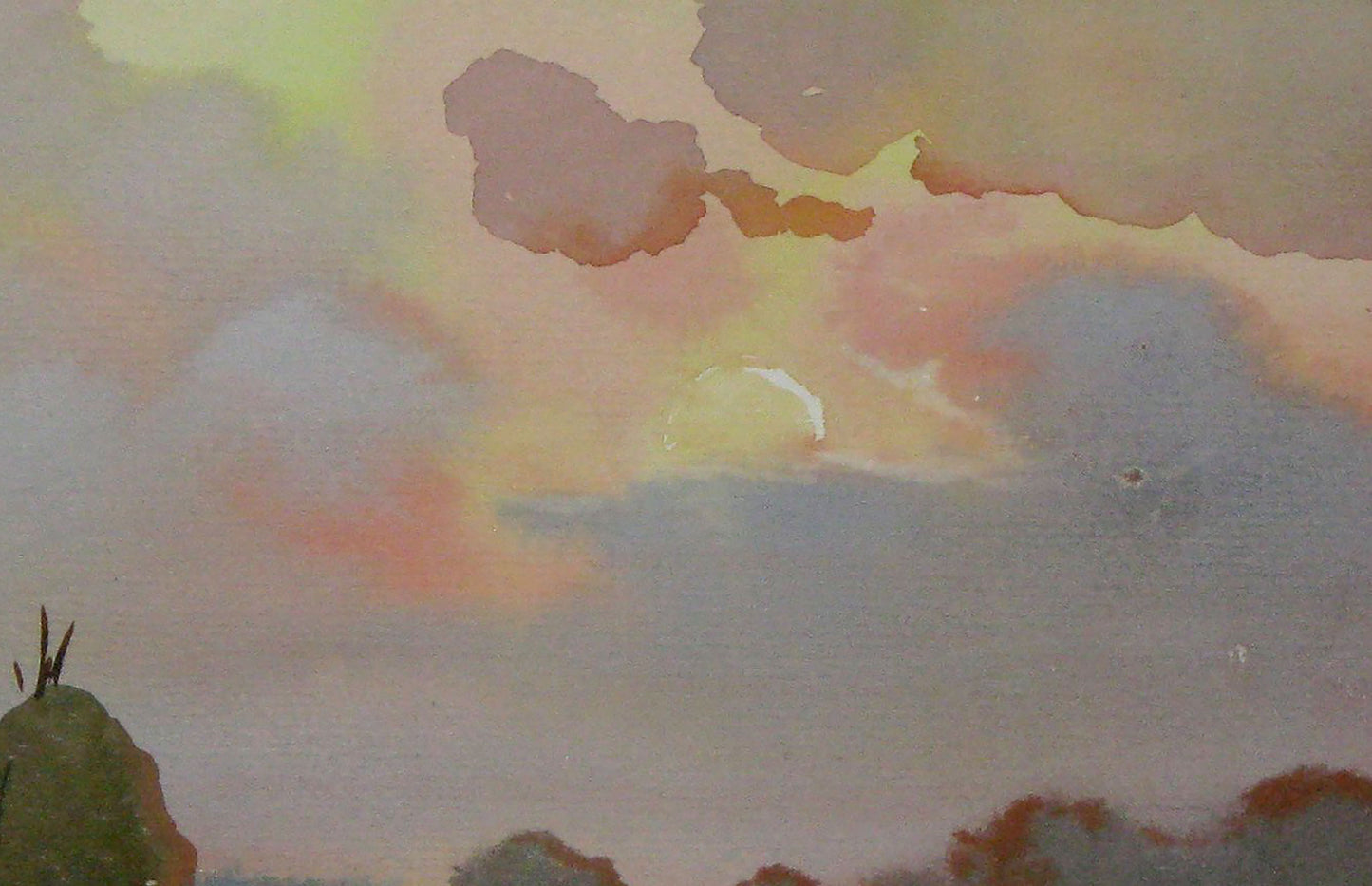 Summer Nature Landscape 