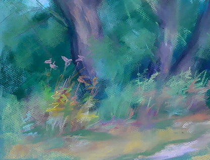 Nature Landscape 