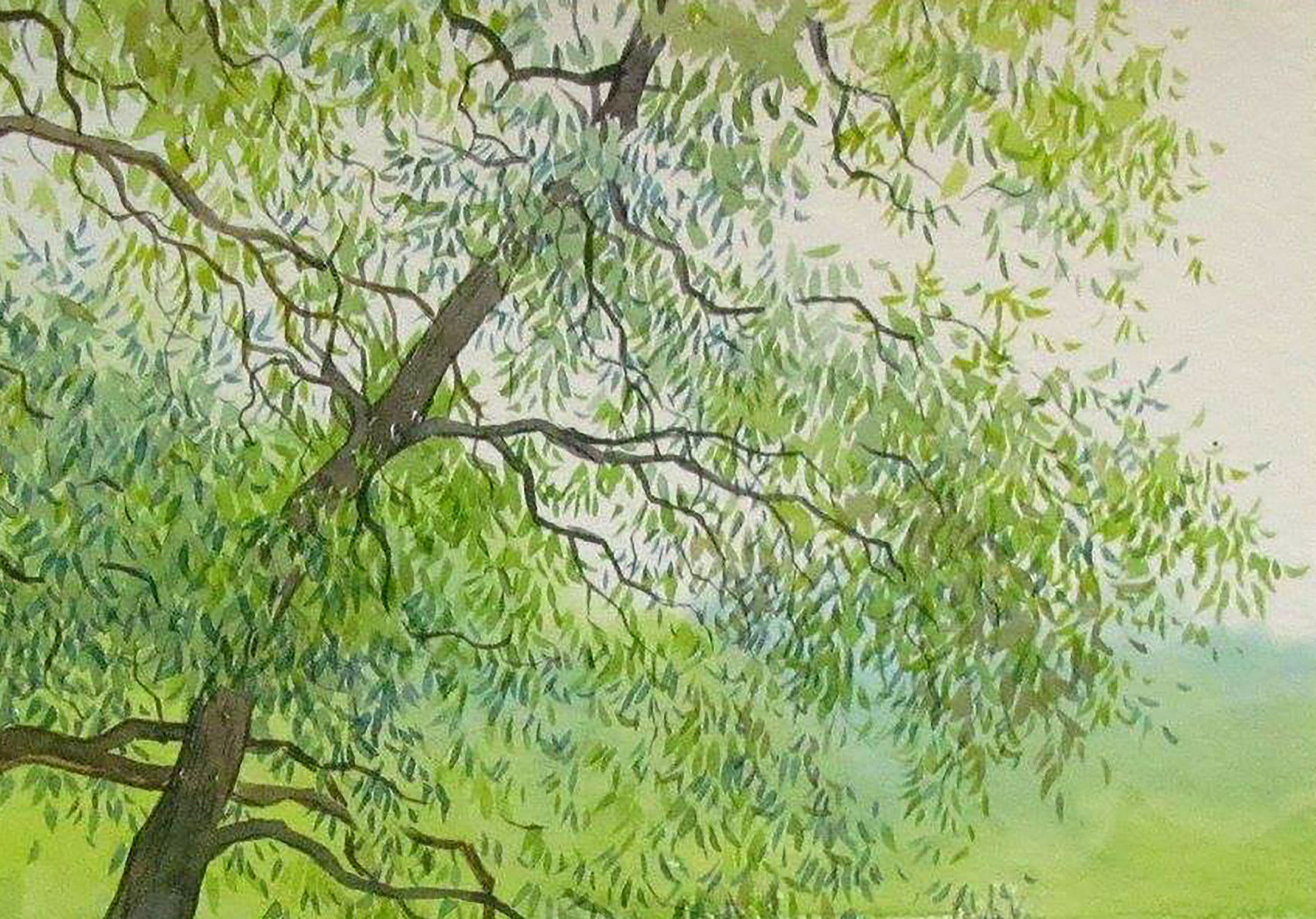 Nature Landscape 
