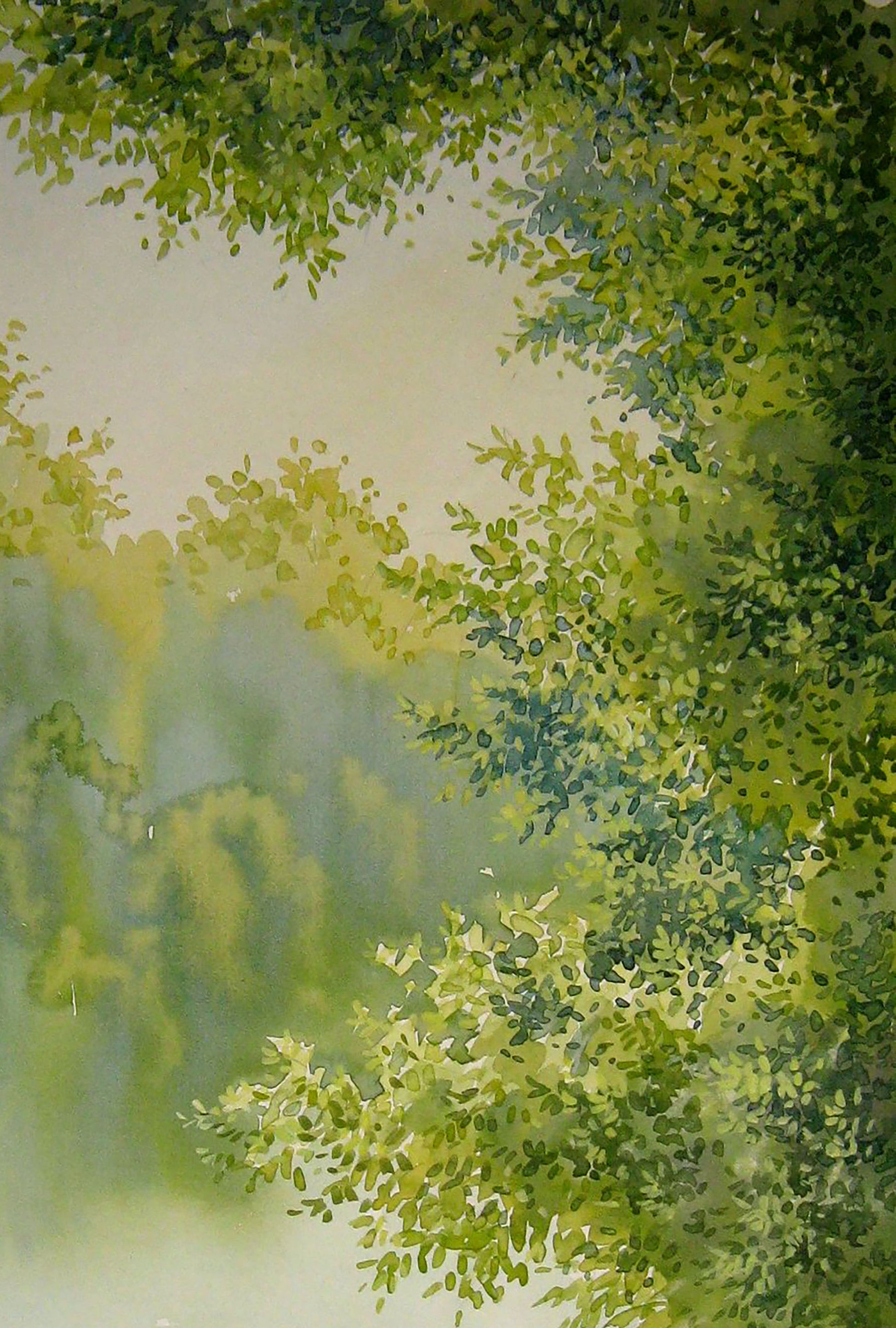 Spring Nature Landscape 