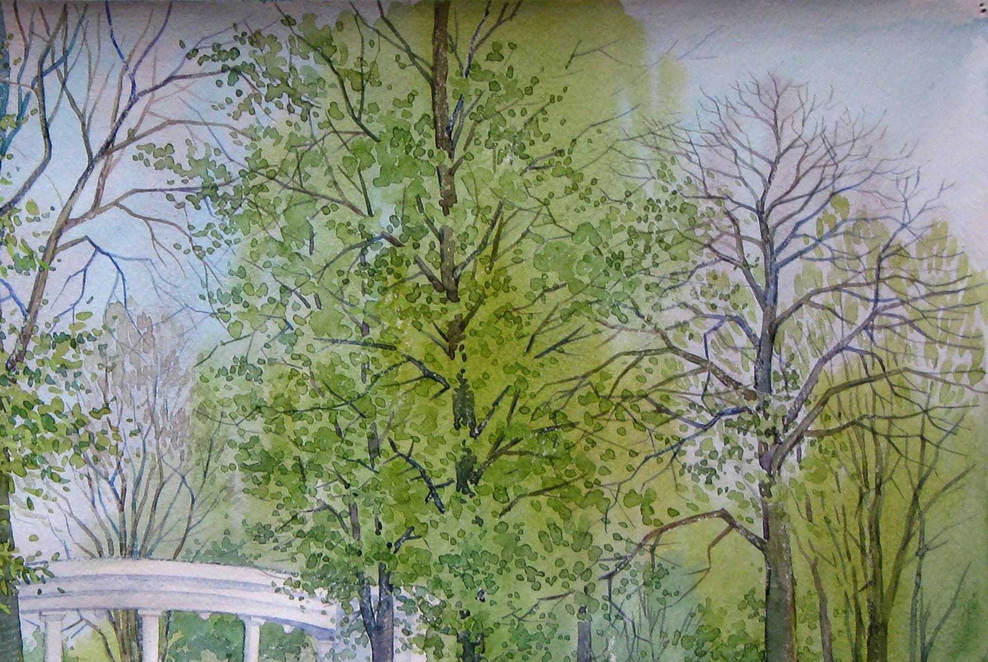 City Nature Landscape 