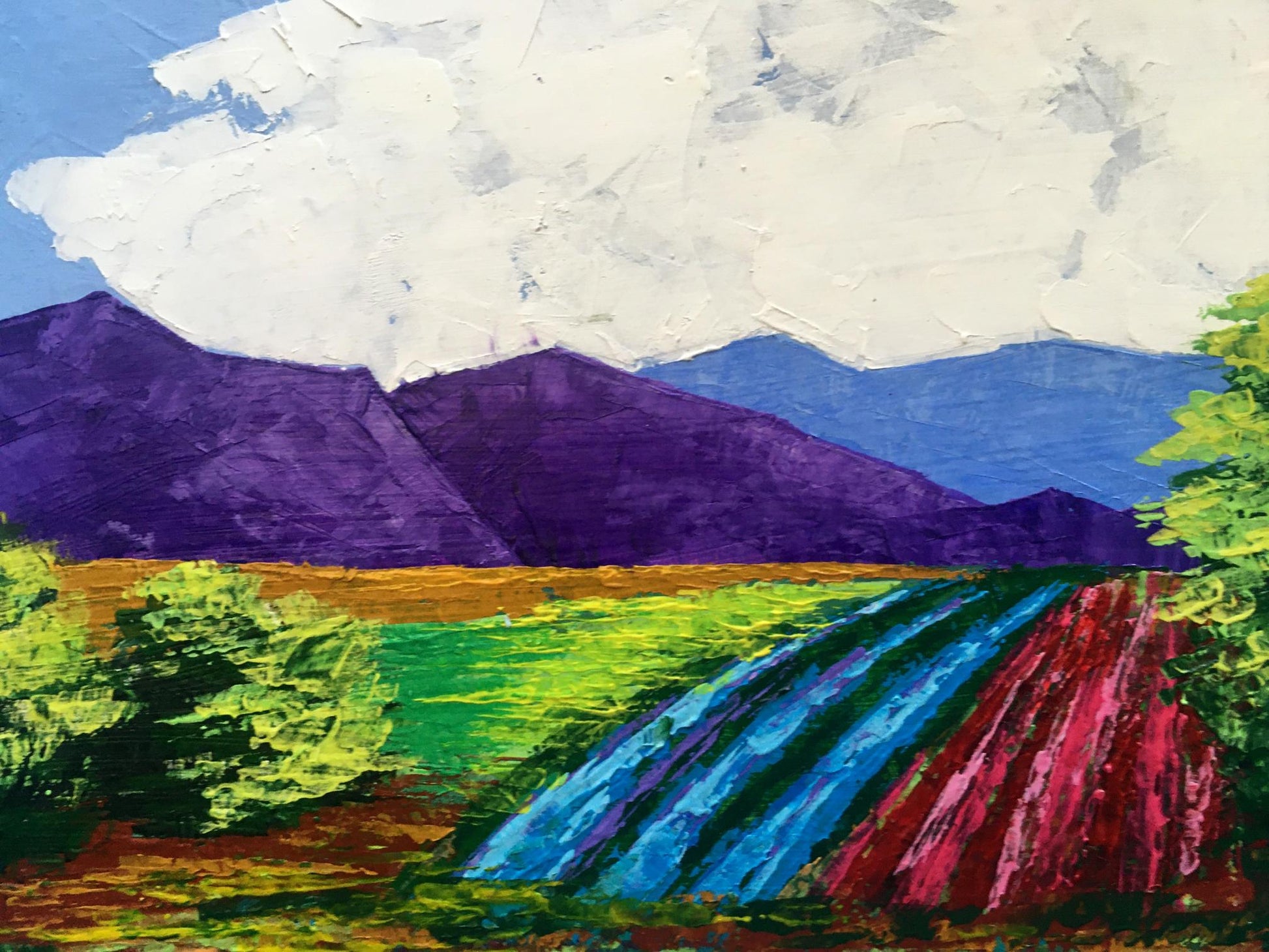Oil painting Vineyards in the mountains by V. Zadorozhnya, purple peaks and colorful fields