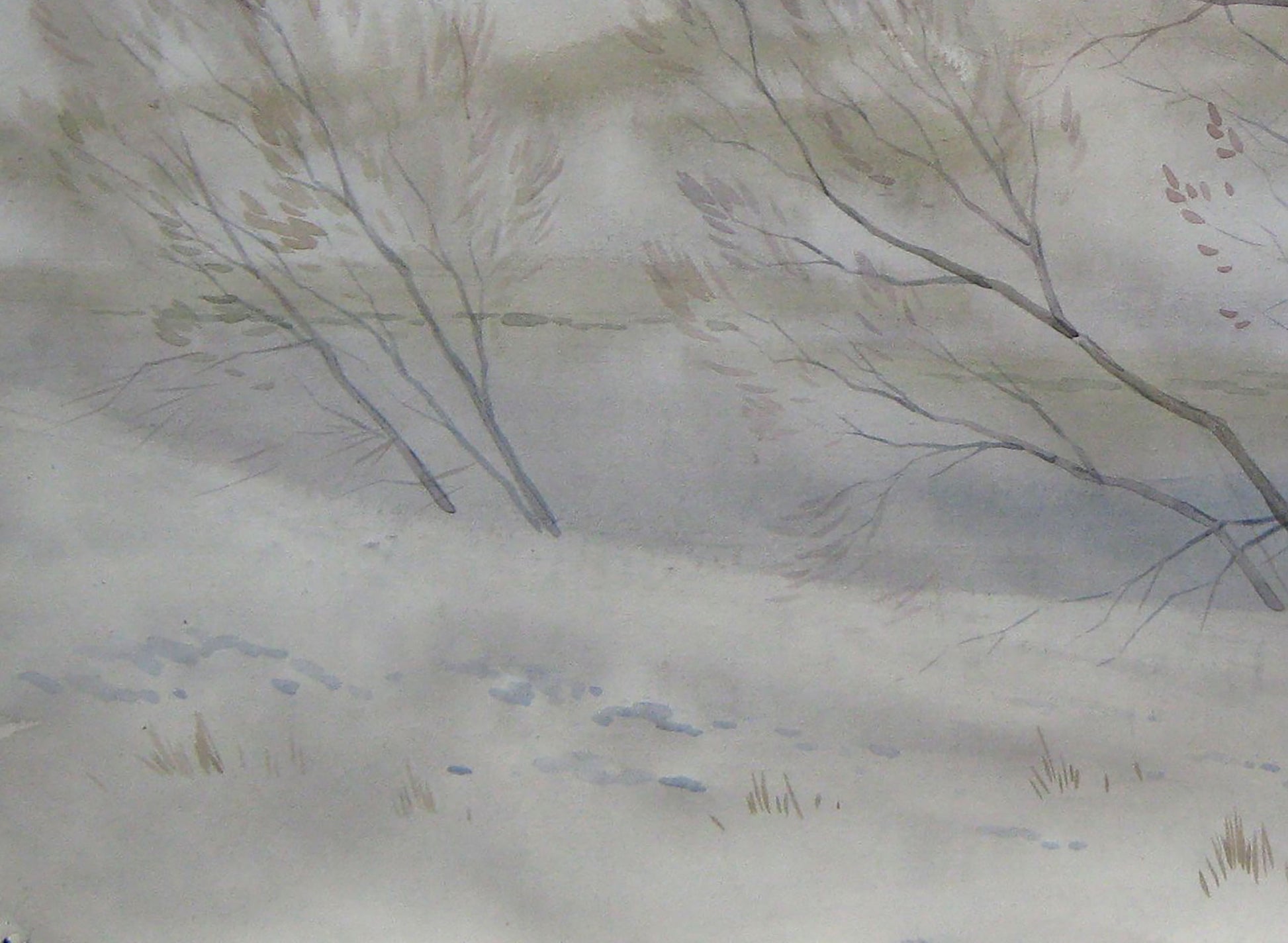 Winter countryside