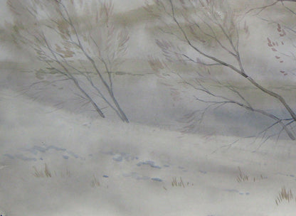 Winter countryside