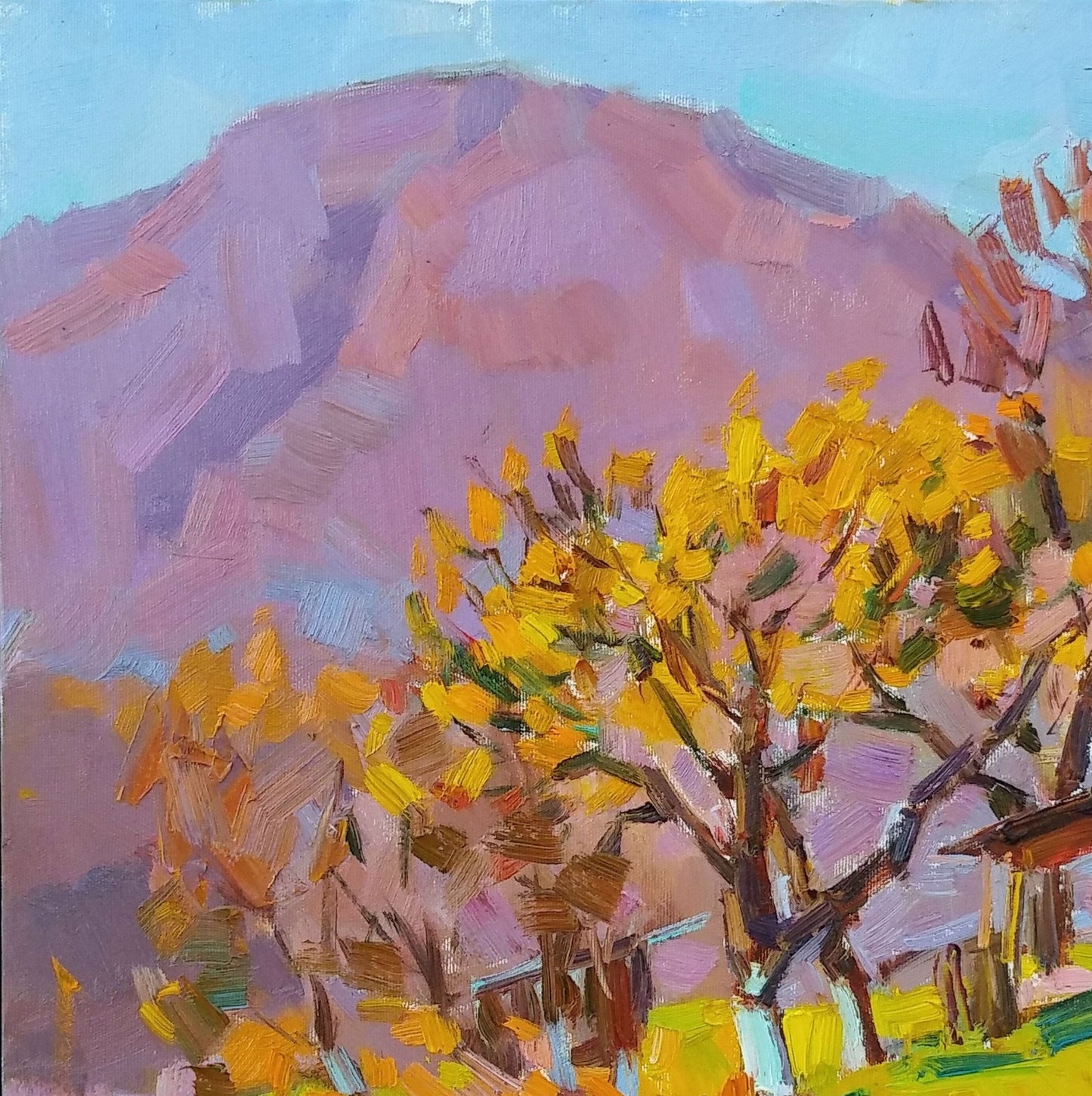 Mountain Village Nature Landscape 