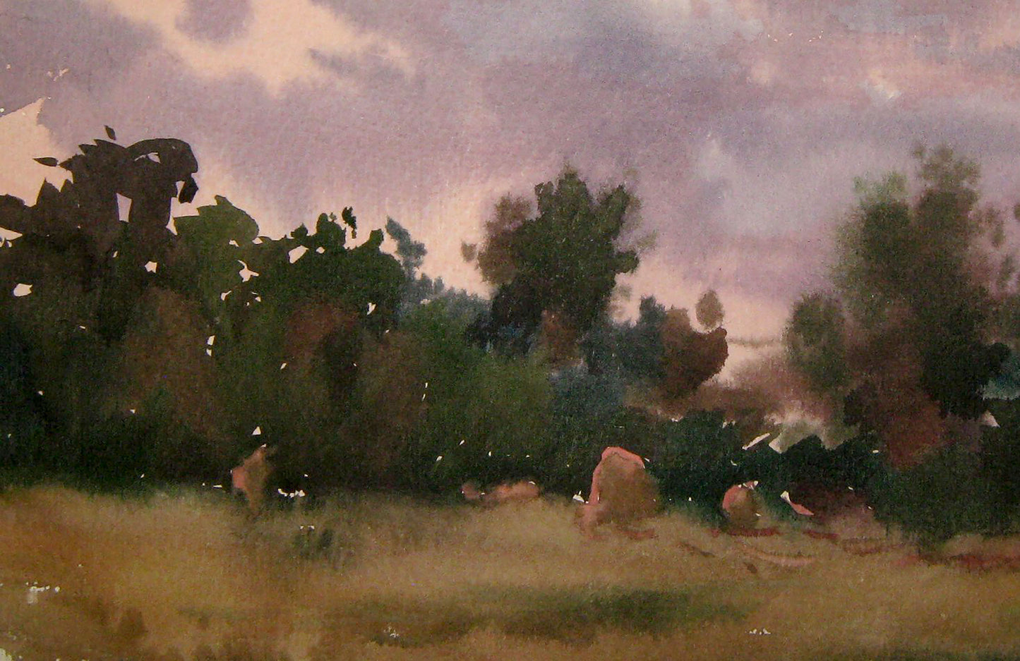 Evening rural landscape