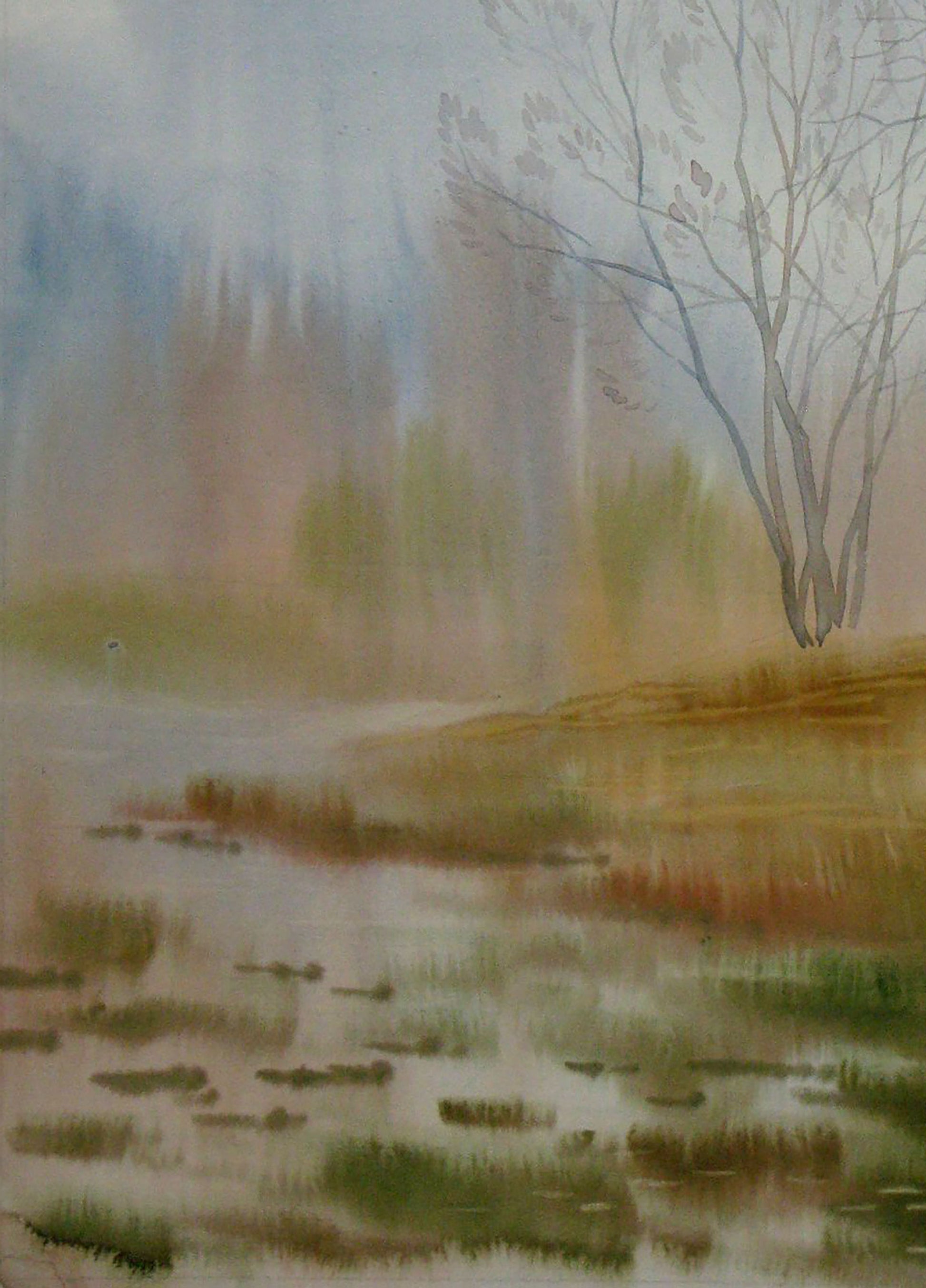 Autumn Forest landscape