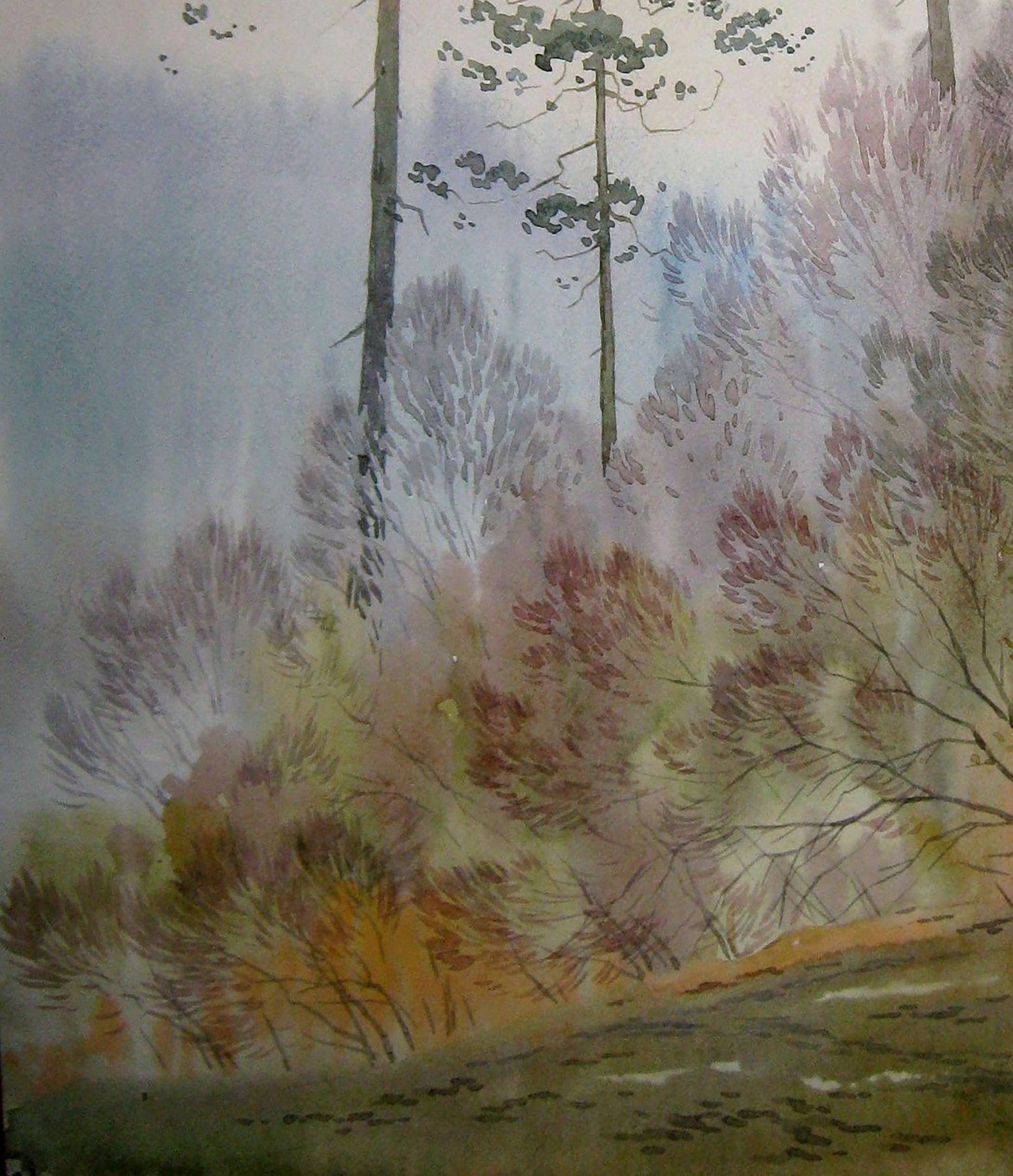 Painting with Forest 