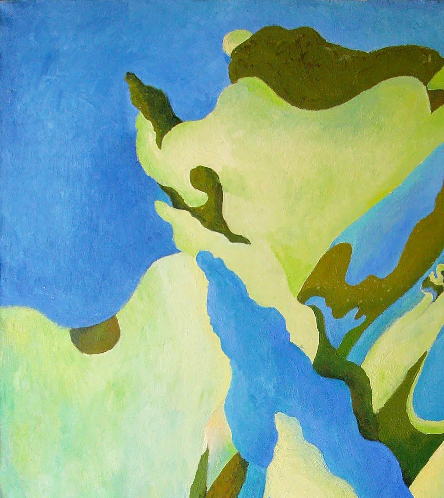 Nature Landscape 