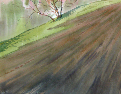 Spring Village landscape 