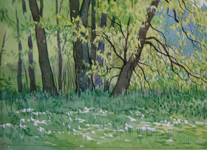 Forest Nature Landscape 