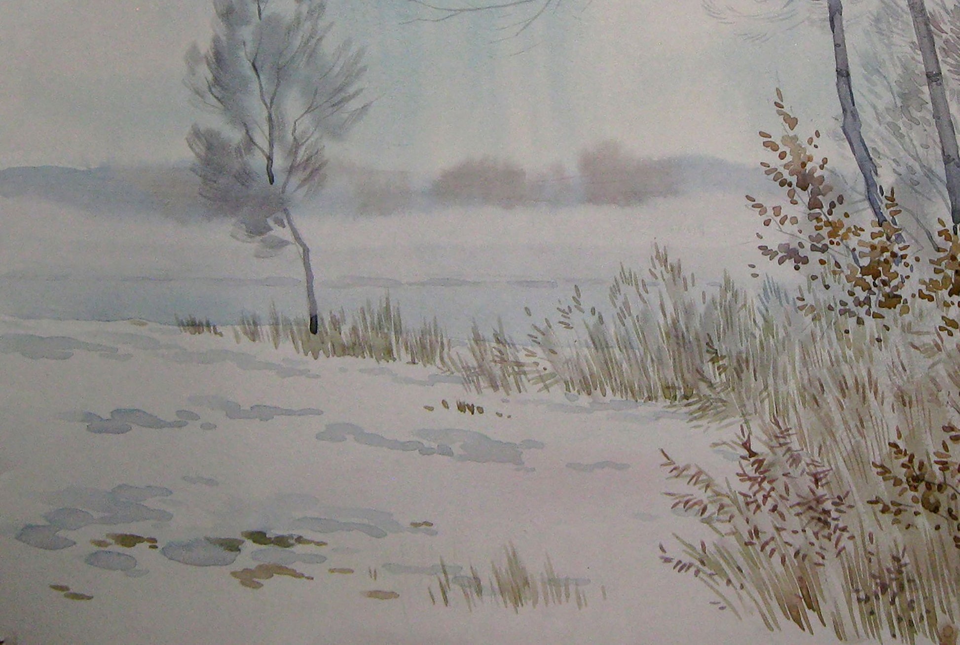 Winter countryside
