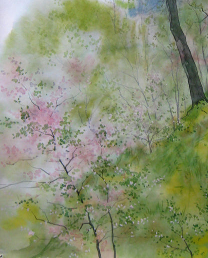 Spring Forest Nature Landscape 