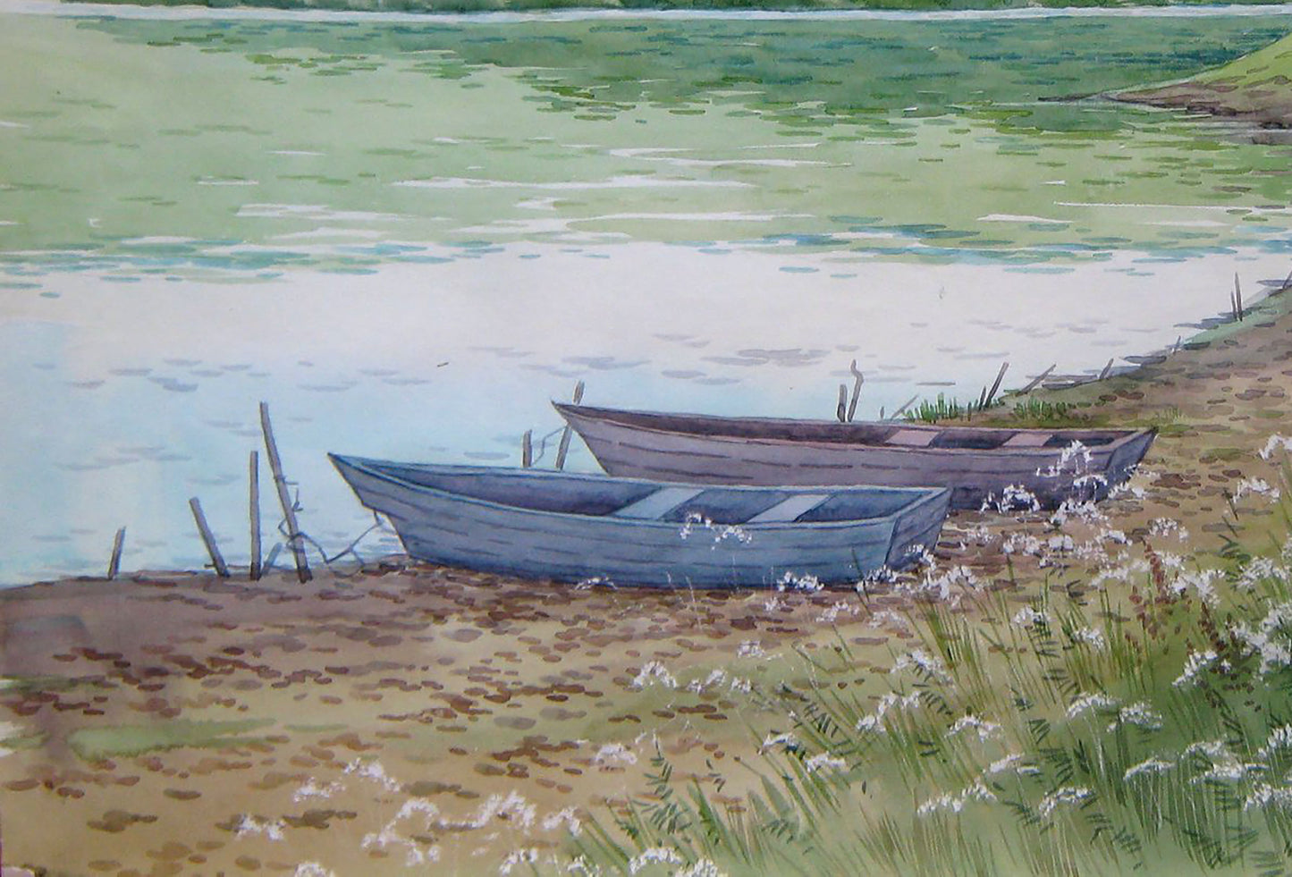 Summer River Nature Landscape 