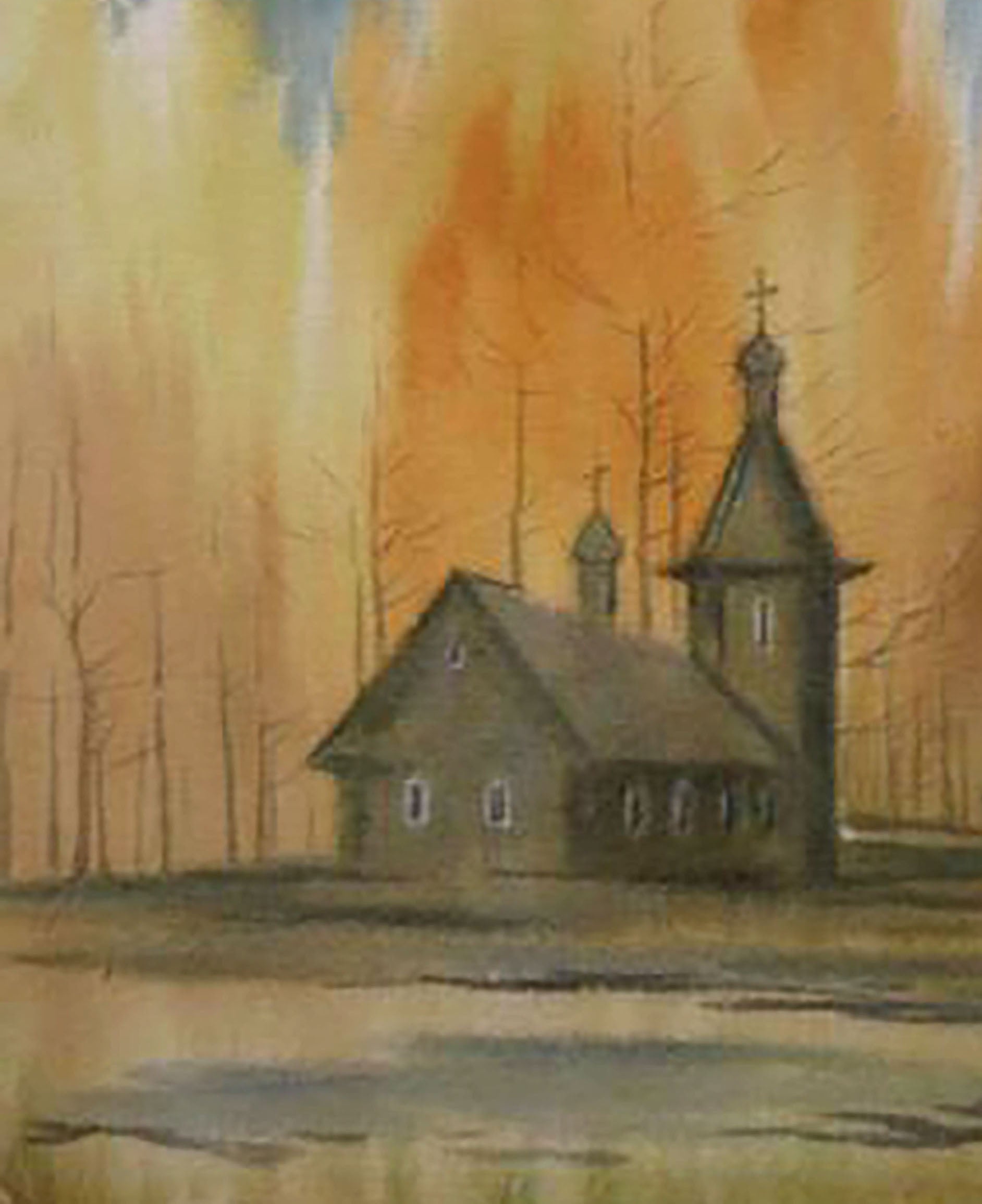 Forest landscape