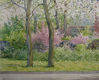 Watercolor painting Rural street