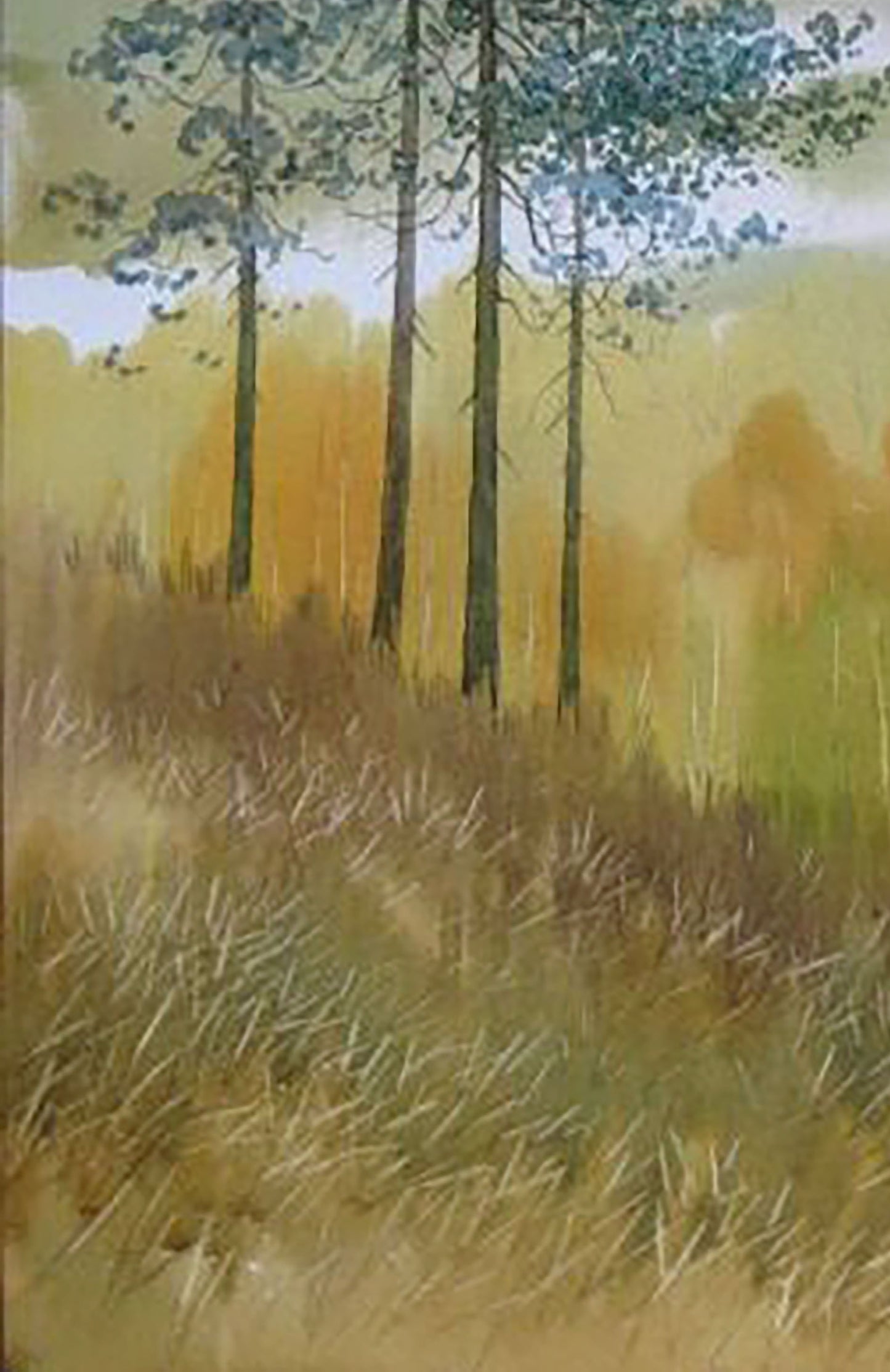Autumn Forest Nature Landscape 