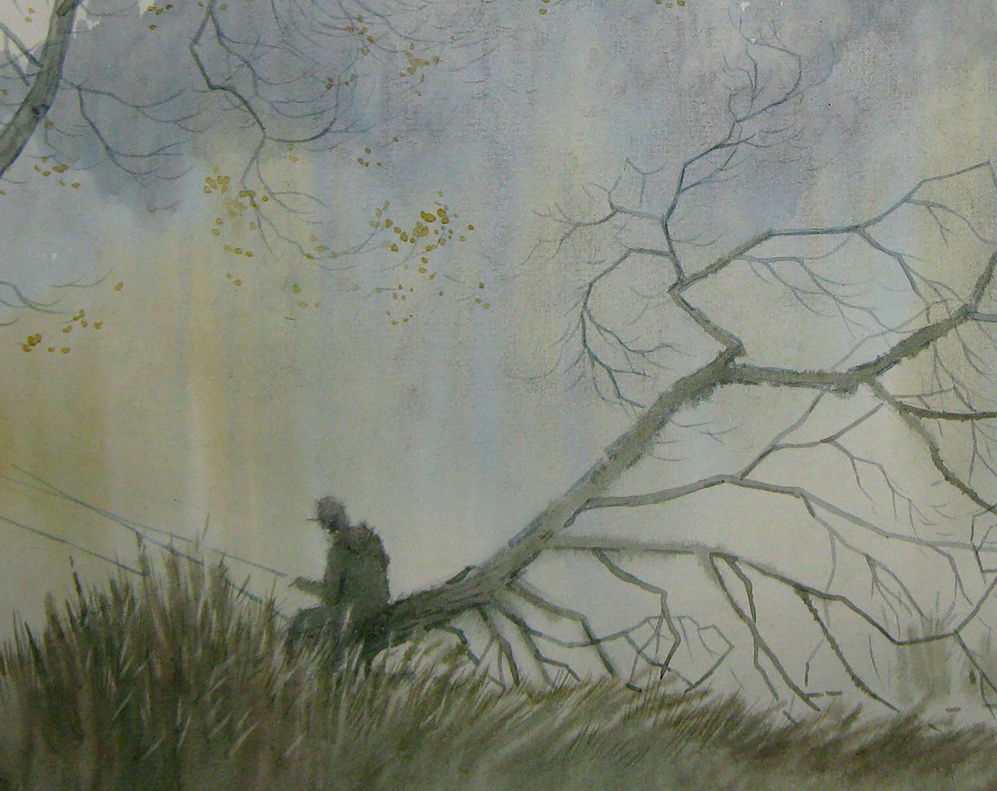 Forest Nature Landscape 
