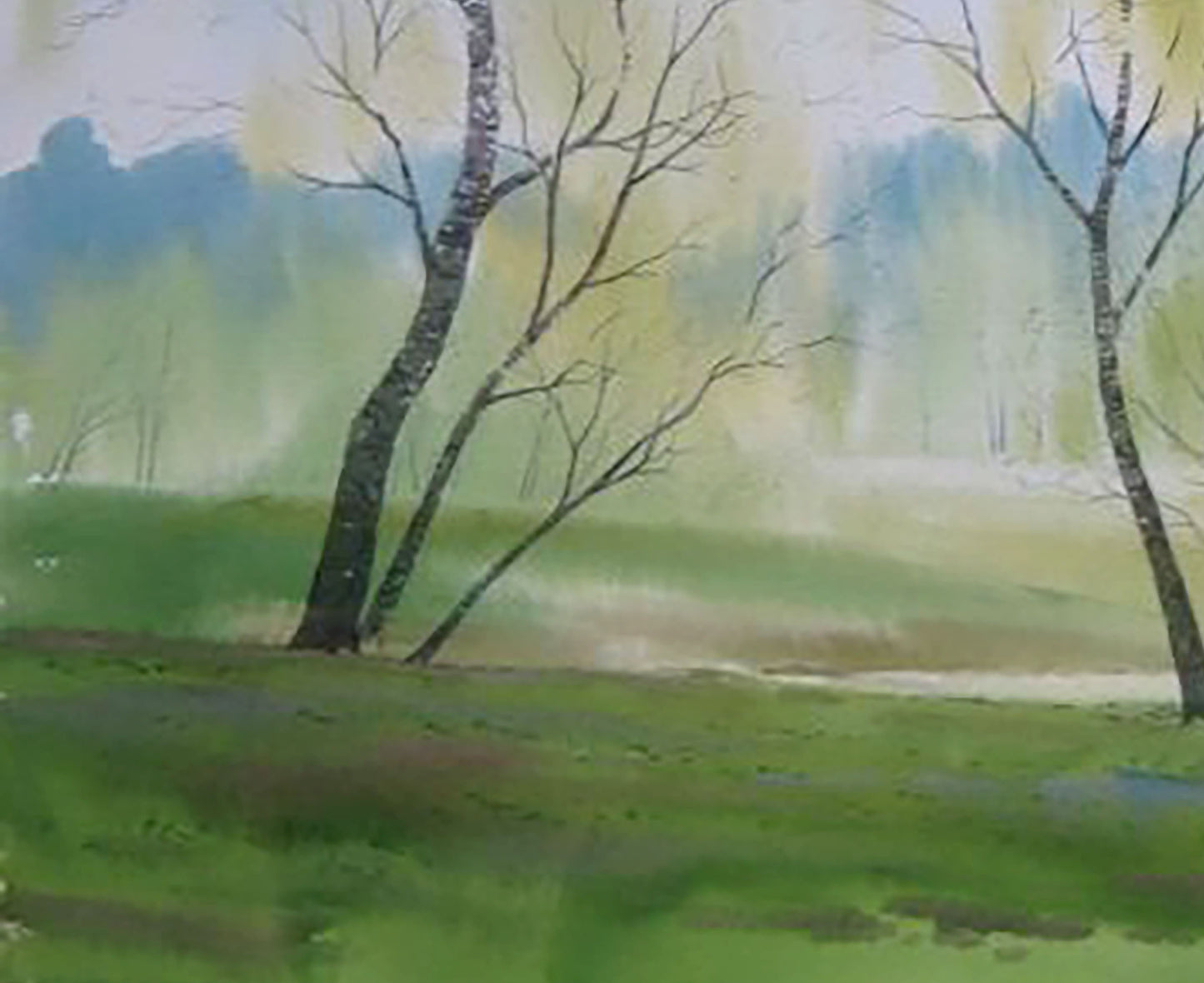 Forest Spring landscape 