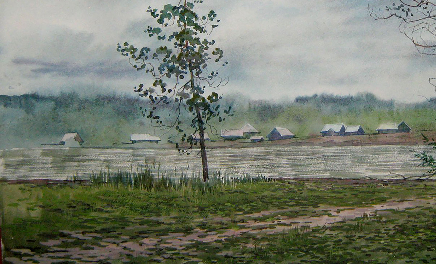 Rural landscape 
