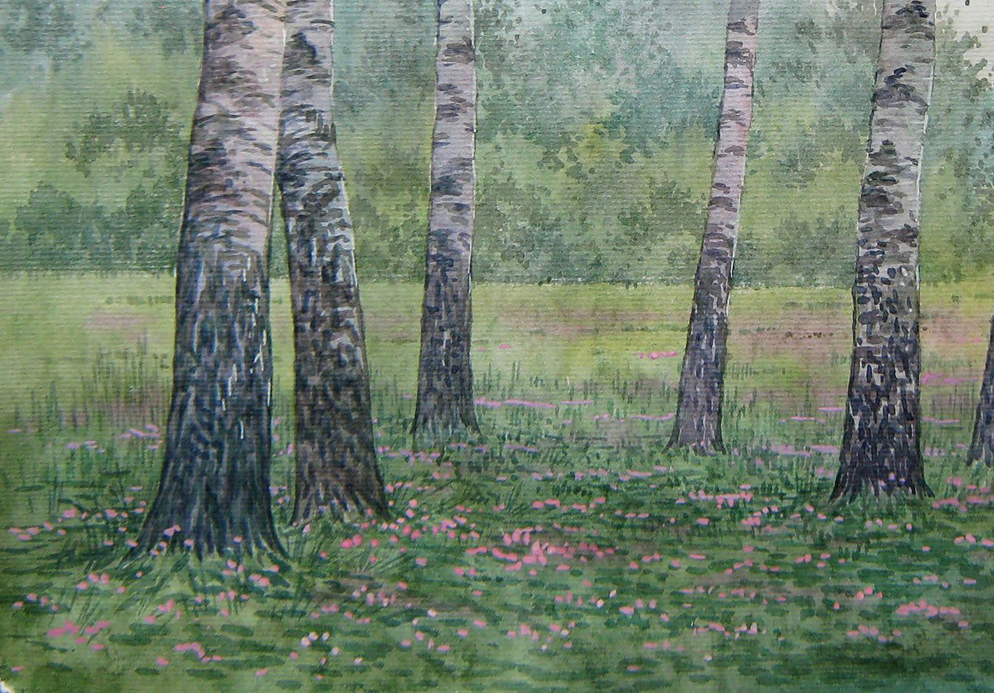 Summer Forest Nature Landscape 