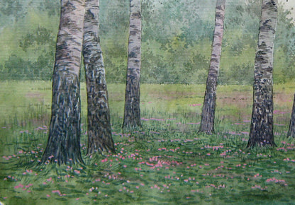 Summer Forest Nature Landscape 